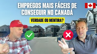 Empregos mais fáceis de conseguir no Canadá REACT [upl. by Yrret]