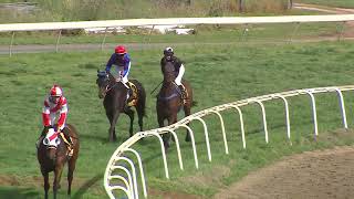 Mudgee 05 10 2024 Race 4 [upl. by Ileray]