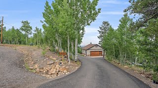 10438 Christopher Dr Conifer CO [upl. by Turnheim503]