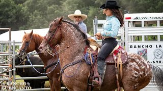 Linda Vaquerita CampeonaðŸ˜ðŸ’ªBatalla De Caballos BailadoresðŸ´ Rancho El Encanto Winder ga [upl. by Phip974]