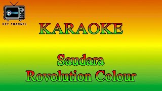 KARAOKE Reggae Saudara  Rovolution Colour [upl. by Gurias686]