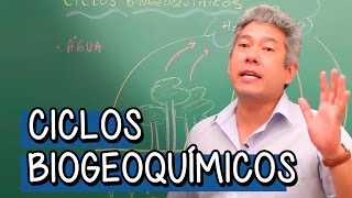 Ciclo Curto da Água  Extensivo Biologia  Descomplica [upl. by Brigg712]