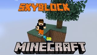 SkyBlock con Plech 2 I Minecraft [upl. by Eliason]