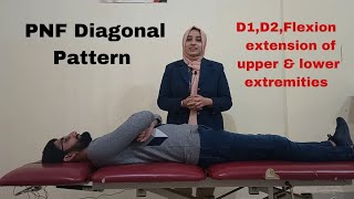 PNF diagonal pattern Part 3 D1 and D2 flexion and extension of upper and lower extremity [upl. by Shotton]