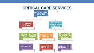 2023 E amp M CODING GUIDELINES FOR OUTPATIENT CRITICAL CARE SERVICES [upl. by Aynek]