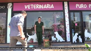 EL INQUISIDOR COLECTA NAVIDEÑA VETERINARIA PURO PELO YERBA BUENA [upl. by Hoffert]