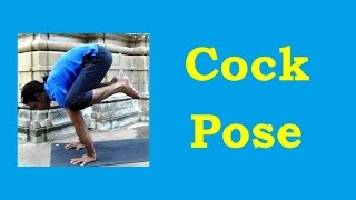 Cock Pose for Beginners  Kukkutasana in Hatha Yoga Arm Balance  2 Minutes Yoga Health [upl. by Tsai]