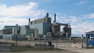 United Steelworkers looking for answers regarding Terrance Bay Pulp Mill shutdown [upl. by Gallagher539]