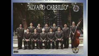 03 Dame Un Beso y Dime Adiós  Rondalla Álvaro Carrillo [upl. by Saunder537]