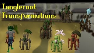 All Tangleroot Transformations OSRS [upl. by Anneiv]