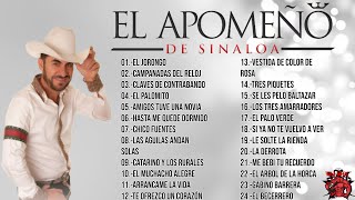 El Apomeño de Sinaloa Mix [upl. by Coy]