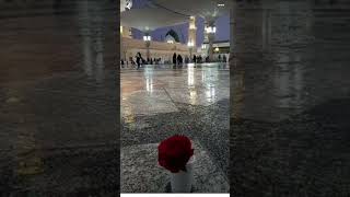 Roka vo Nana sa kahana laga Bas R viral Shorts ytshorts islam islamicchannel no dance [upl. by Anyahc]