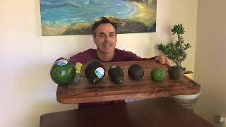 New Variety Avocado Taste Test [upl. by Htrap]