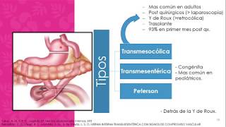 03 Hernias internas [upl. by Snehpets]