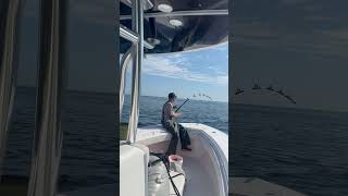 Down and tight garminmarine fishing garmin grundens alutecnos shimano bluefintuna [upl. by Aniram]