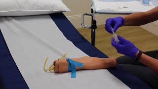 Phlebotomy  Training Video [upl. by Nodnarbal]