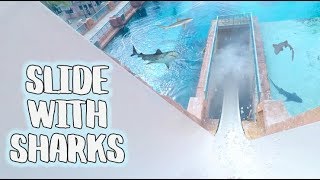 SLIDES AT ATLANTIS PARADISE ISLAND BAHAMAS  🦈 SHARK SLIDE 🦈 [upl. by Travus]