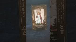 Ophiuchus October 13 2024 Daily Tarot Card 1 [upl. by Lahsiv]