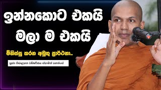 අසම්මත විෂයන් පස්සෙ දිව්වොත් ස්ථිර විමුක්තිය නැති වෙයි  VenKirulapana Dhammawijaya Thero [upl. by Atinomar167]