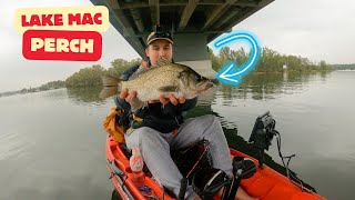 LAKE MAC EP and BIG BREAM up Stoney CREEK [upl. by Anilegnave]