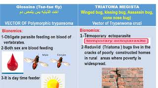 Glossina amp Triatoma Blood module Dr Khaled habib [upl. by Noek]