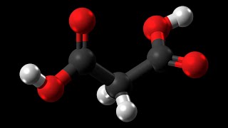 Levulinic Acid Market Analysis Recent Trends and Regional Growth Forecast by 20212026 [upl. by Herriott]