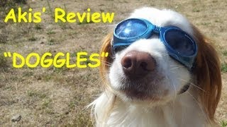 Akis Unboxing  Review of Doggles Sunglasses [upl. by Oiramed]