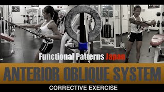 Corrective Exercise Anterior Oblique System [upl. by Nrehtac]