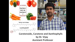 MSc Chemistry  Lecture 2A Carotenoids Carotene amp Xanthophyll [upl. by Lipfert]