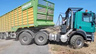 TATRA Phoenix AgroTruck Corn Silage 2017 [upl. by Alyaj]