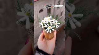 Making diy flower pot flowers flowerpot shorts trending diy wastematerialcraft art cotton [upl. by Nefets]