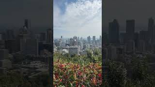 mont royal lookout montreal [upl. by Sontag95]