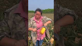 How to grow a new variety of pineapple and peel it in a new way [upl. by Bidget503]