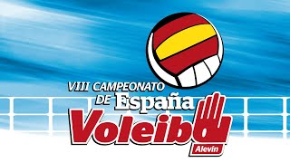 Pista 7 Voleibol campeonato de España Alevín 14062024 Mañana [upl. by Noby654]