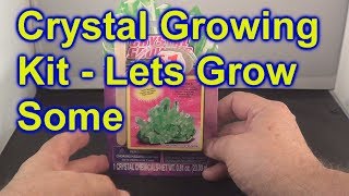 Crystal Growing Kit By CreativeKids From Dollar Tree Watch Them Grow [upl. by Yeldua]