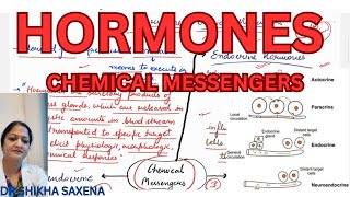 Endocrine paracrine neuroendocrine Endocrine cytokines [upl. by Clemens102]