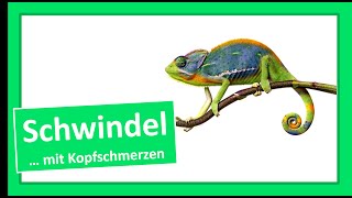 Schwindel mit Kopfschmerzen [upl. by Joy967]