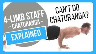 How To Properly Do Chaturanga Dandasana [upl. by Alfonso]