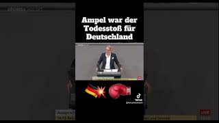 Alice Weidel zur Ampel Regierung💥⚡️ [upl. by Aleuname]