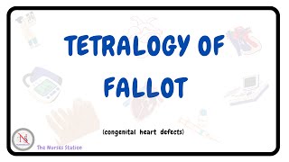 Congenital Heart Defects Explained Tetralogy of Fallot [upl. by Mailli265]