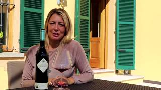 A Visit to Marchesi di Barolo [upl. by Charie]