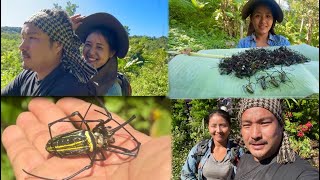 Spider hunting part one  how to hunt cook and eat spider bizarre Naga delicacy  Nagaland [upl. by Nrojb]