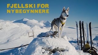 Fjellski MED Eller UTEN Stålkanter  Fjellski For Nybegynnere i Rondane Nasjonalpark [upl. by Aliakam766]