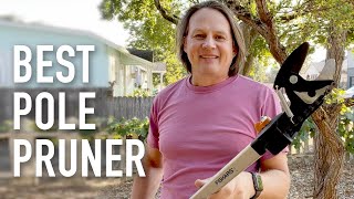 Best Pole Pruner 2023 Affordable Homeowner Version [upl. by Ijat]