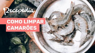 COMO LIMPAR CAMARÕES EM 5 PASSOS [upl. by Sabba]