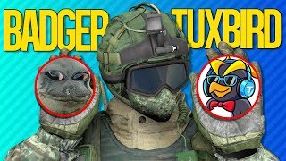 THE BADGER PENGUIN SHOWDOWN  Rainbow Six Siege [upl. by Werner]