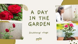 A day in the garden🌹🌹🌿  आज का दिन गार्डन मे  shubhangivlogs7182 [upl. by Aicinoid]