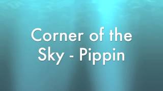 Corner of the sky  Pippin 2013 Broadway [upl. by Anauqahs]