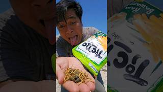 Found a tictic snack but ran away seeing worms inside shorts shortvideo viralvideo [upl. by Drofdeb119]