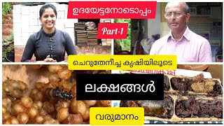 ചെറുതേനീച്ച കൃഷി തേനീച്ച കൃഷി krishi malayalamharshas nest [upl. by Reld]